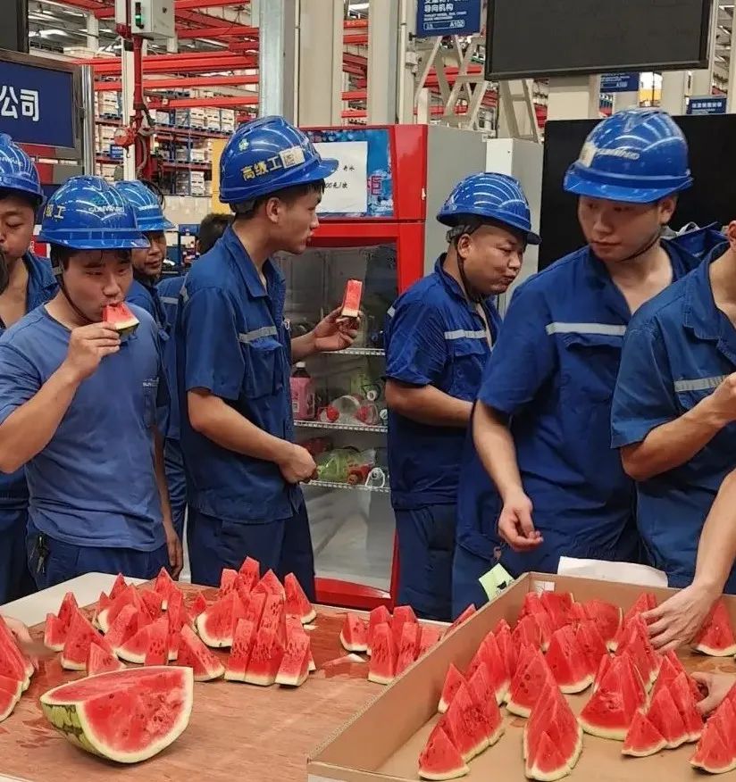 LETOU乐投智能“降暑套餐”，，，，，只为不平“暑”的你